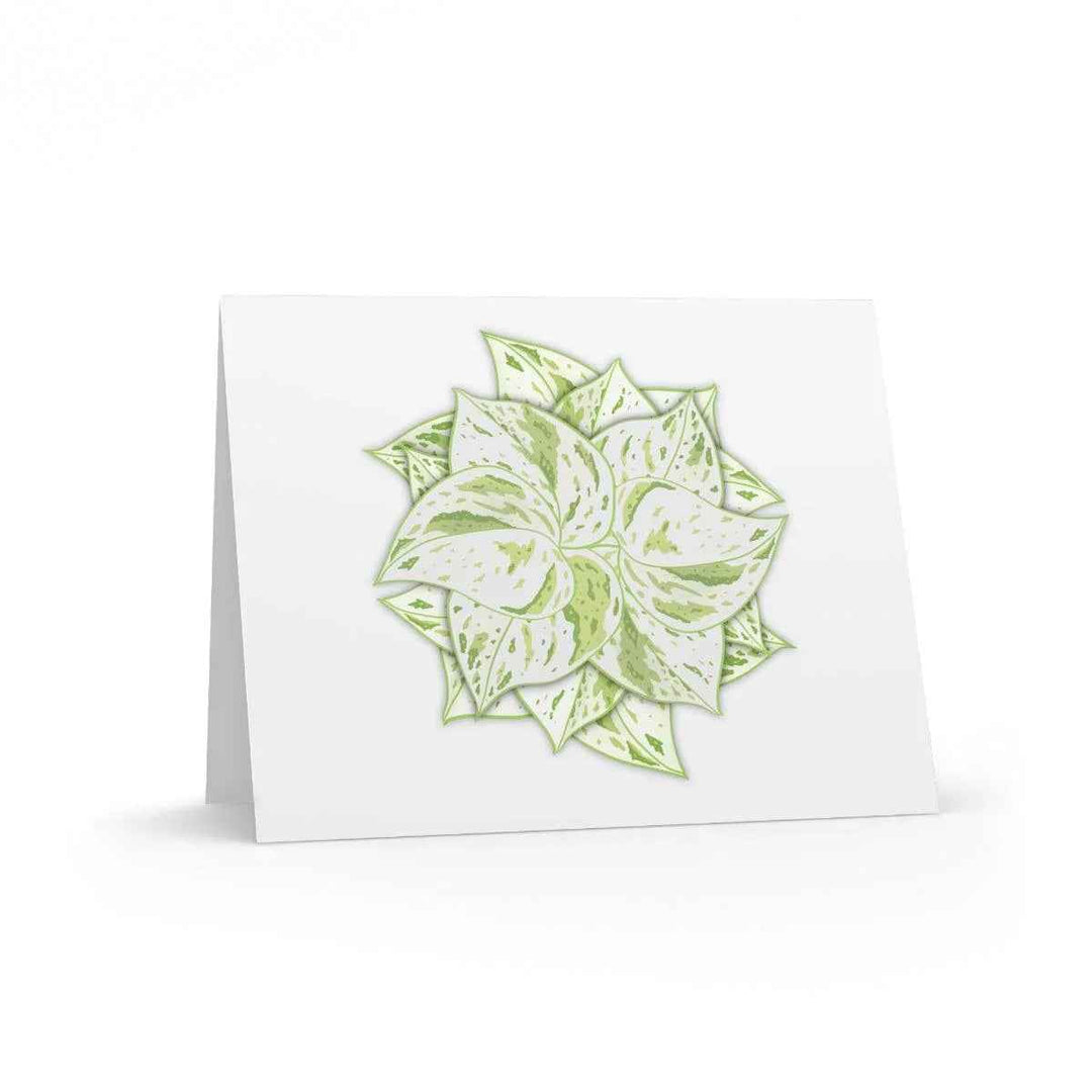 Snow Queen Greeting Card – Pothos Variegated Plant Design on Robust Cardstock
