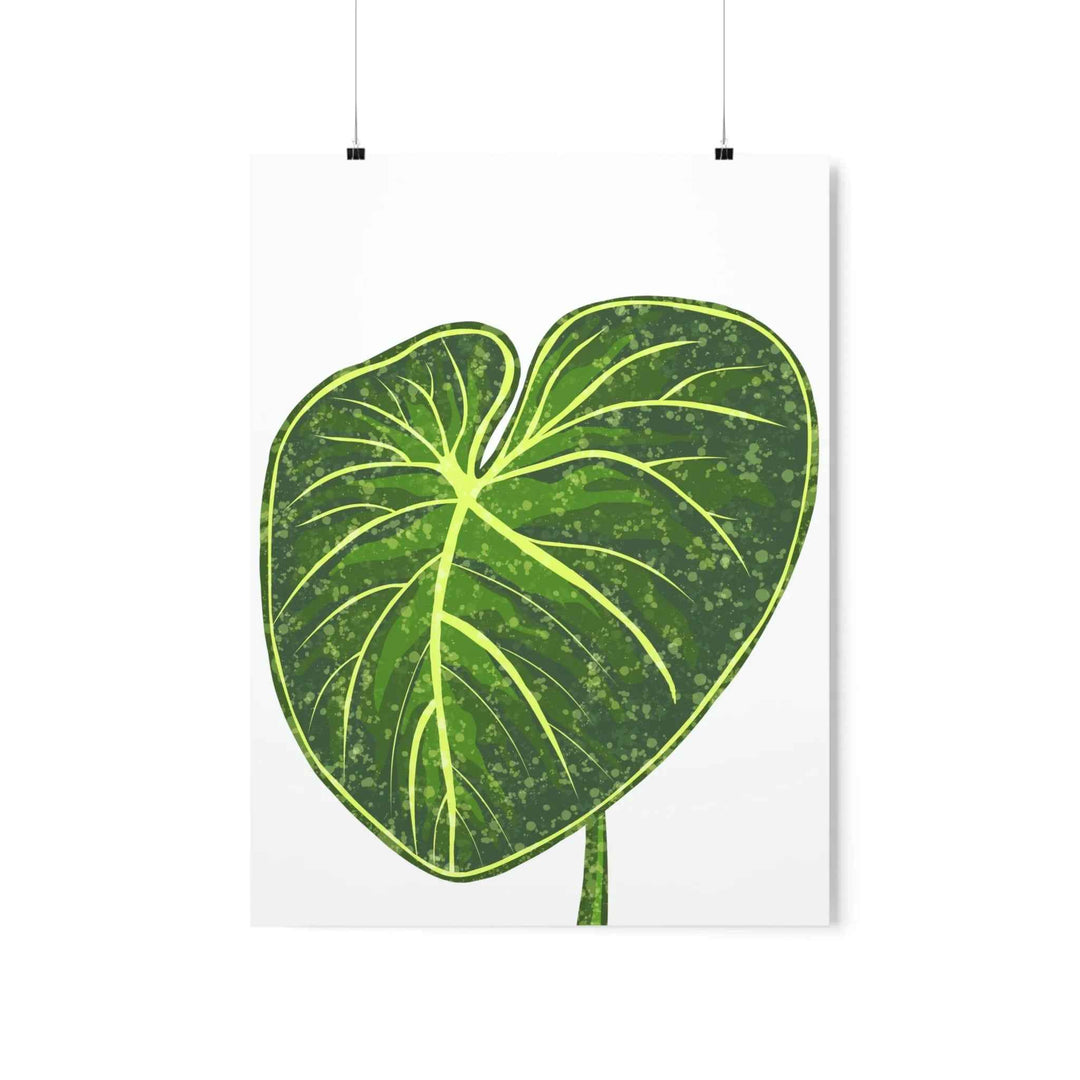Philodendron Gloriosum Print Botanical Wall Art – Tropical Leaf Poster on Museum-Grade Paper Unframed