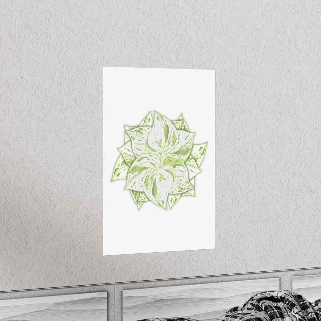 Snow Queen Pothos Print – Variegated Pothos Art on Museum Grade Paper Unframed