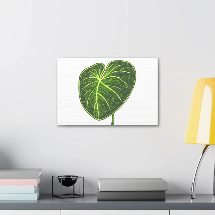 Philodendron Gloriosum Canvas - Stretched Canvas Art Print | Matte Indoor Wall Art - Laura Christine Photography & Design