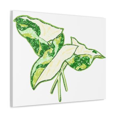 Marble Syngonium Canvas