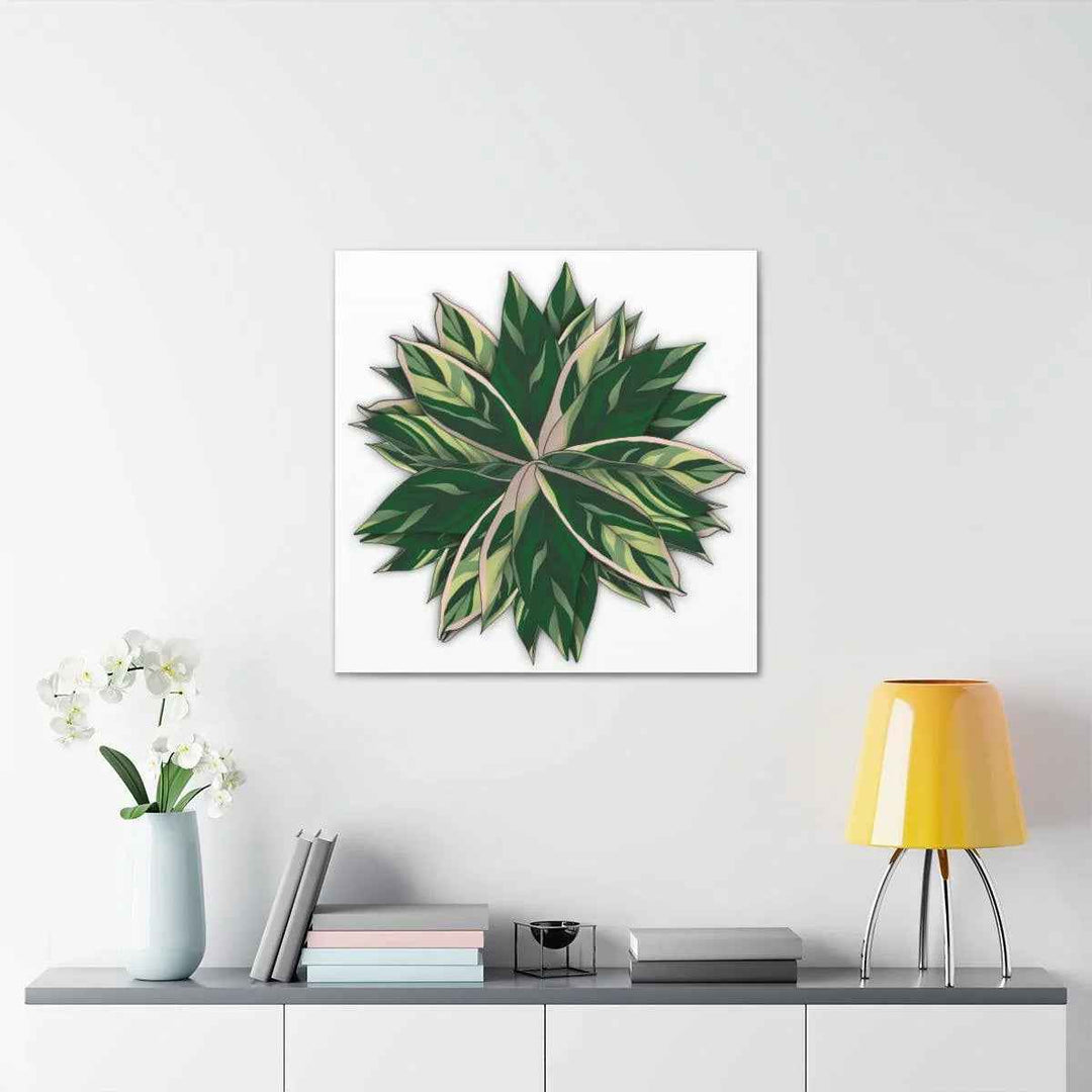 Stromanthe Triostar Canvas - Pastel Stripe Canvas Art Print With Vivid Color Artwork