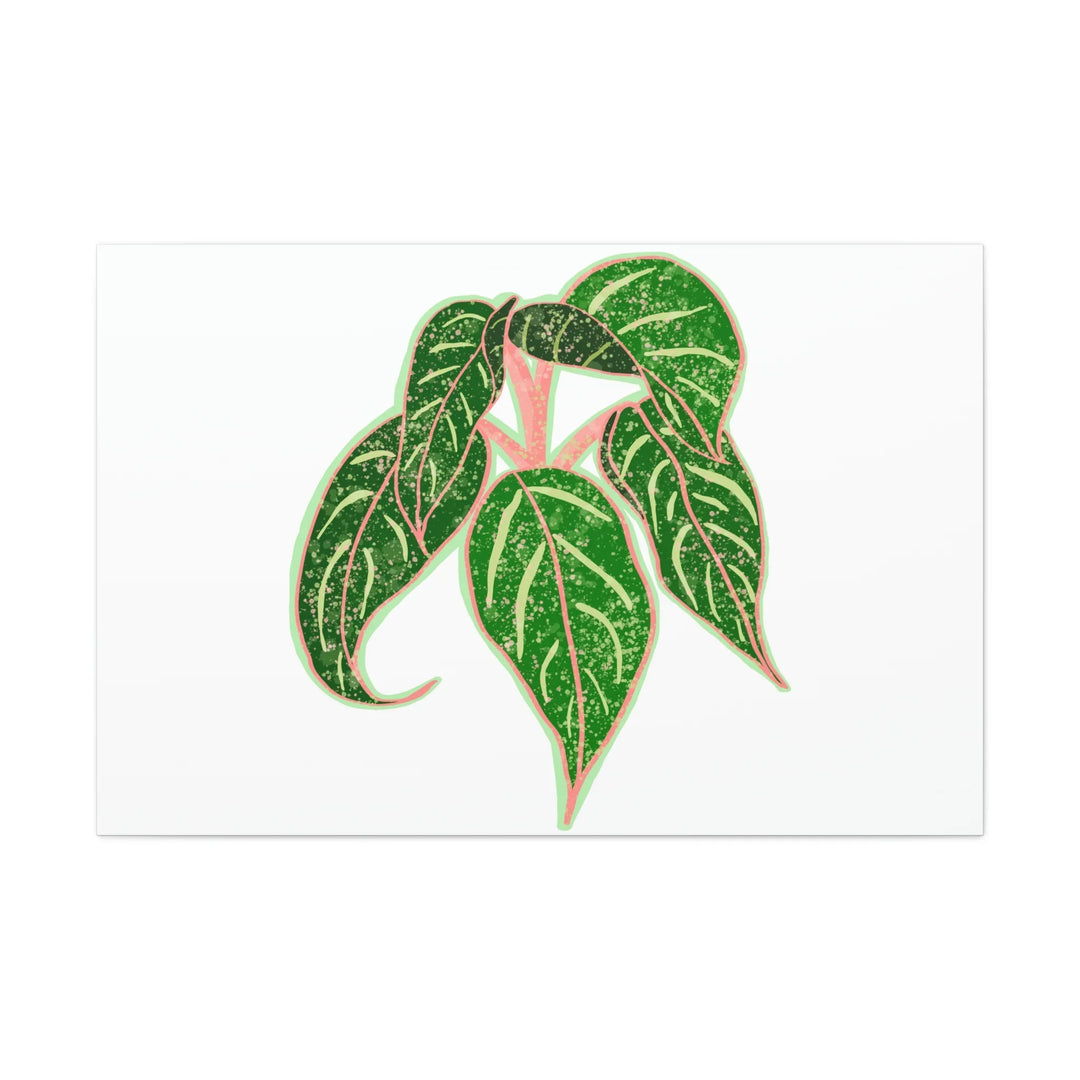 Aglaonema Plant Canvas | Sparkling Plant Artwork - Colorfast Canvas Art Print Decor