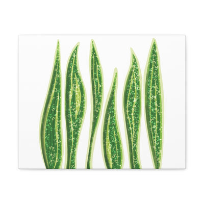 Snake Plant Canvas