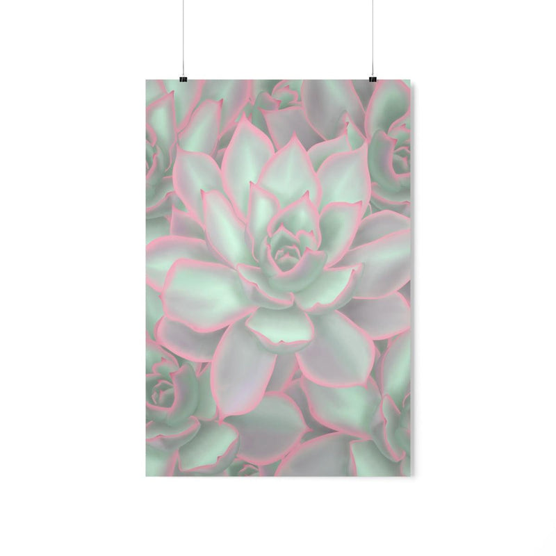 Echeveria Violet Queen Succulent Print, Poster, Laura Christine Photography & Design, Back to School, Home & Living, Indoor, Matte, Paper, Posters, Valentine&