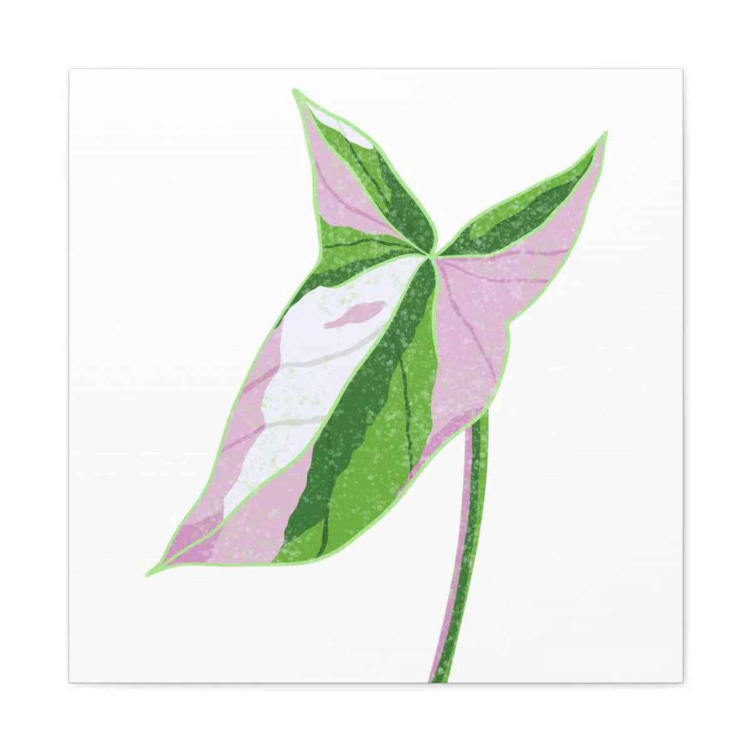 Syngonium Tricolor Canvas | Botanical Canvas Art Print With Matte Finish