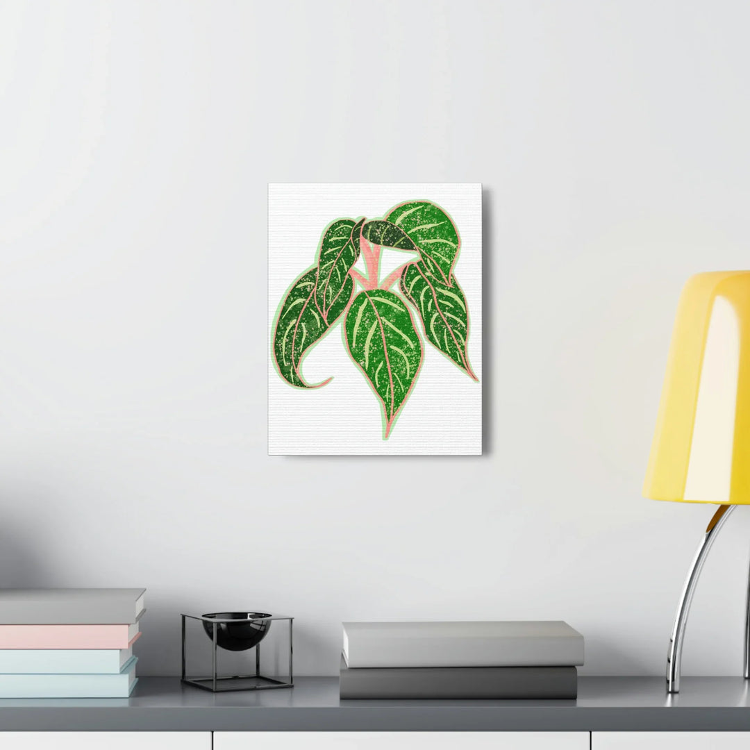Aglaonema Plant Canvas | Sparkling Plant Artwork - Colorfast Canvas Art Print Decor
