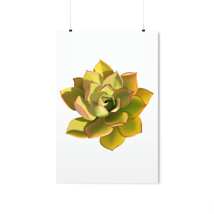 Noble Aeonium Print – Vibrant Succulent Wall Art on Museum-Grade Paper Poster Unframed