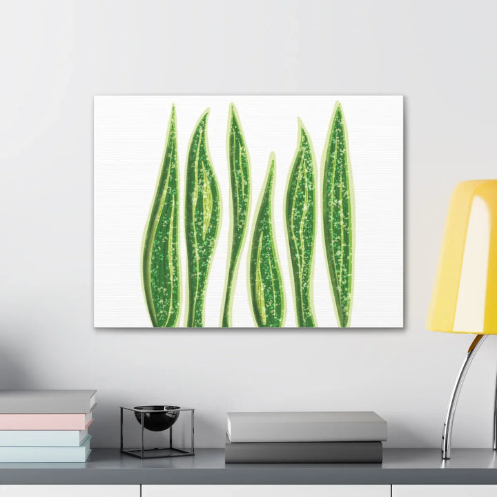 Snake Plant Canvas | Botanical Canvas Decor - Matte Finish Artwork for Living Room - Laura Christine Photography & Design