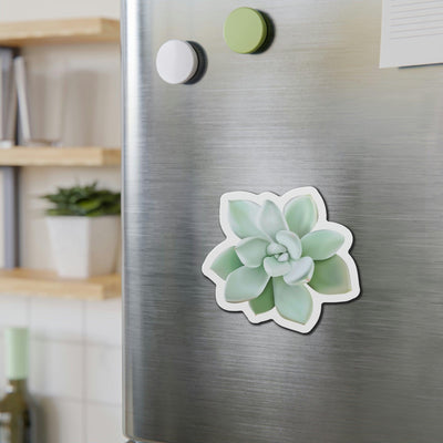 Pachyveria Haagei Succulent Magnets, Home Decor, Printify, Home & Living, Magnets, Magnets & Stickers, Valentine's Day promotion, Laura Christine Photography & Design, laurachristinedesign.com