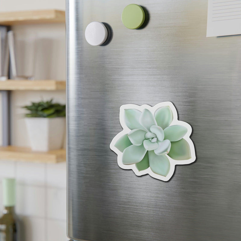 Pachyveria Haagei Succulent Magnets, Home Decor, Printify, Home & Living, Magnets, Magnets & Stickers, Valentine&