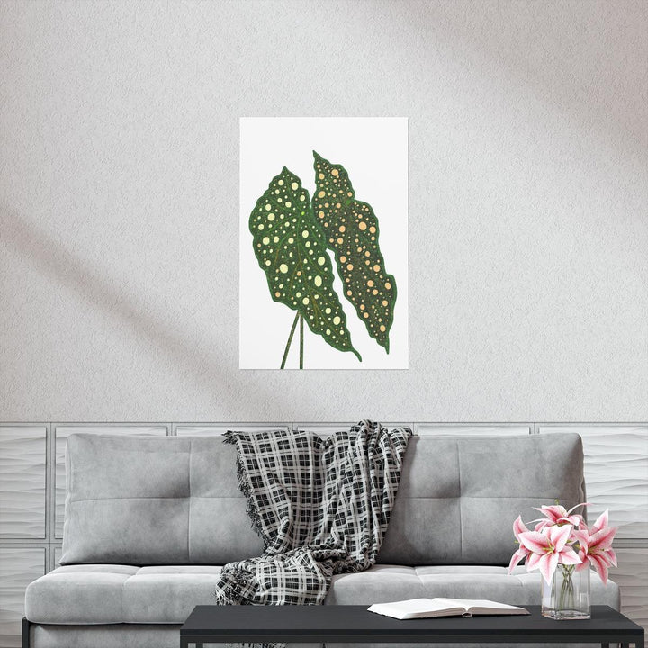 Begonia Maculata Print - Botanical Wall Art on Museum Grade Paper | Matte Finish Unframed - Laura Christine Photography & Design