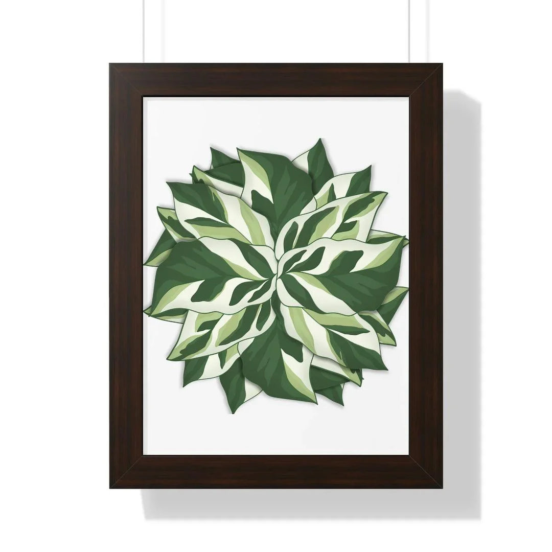 Calathea White Fusion Framed Print, Poster, Laura Christine Photography & Design, Bottle, Calathea, Canvas Bag, Coffee, Drinkware, Framed, Home & Living, Indoor, Paper, Posters, Prayer Plant, Reusable, Shopping Bag, Tea, Tote Bag, Travel, Tumbler, Water, White Fusion, Laura Christine Photography & Design, laurachristinedesign.com