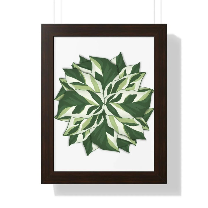 Calathea White Fusion Framed Print, Poster, Laura Christine Photography & Design, Bottle, Calathea, Canvas Bag, Coffee, Drinkware, Framed, Home & Living, Indoor, Paper, Posters, Prayer Plant, Reusable, Shopping Bag, Tea, Tote Bag, Travel, Tumbler, Water, White Fusion, Laura Christine Photography & Design, laurachristinedesign.com