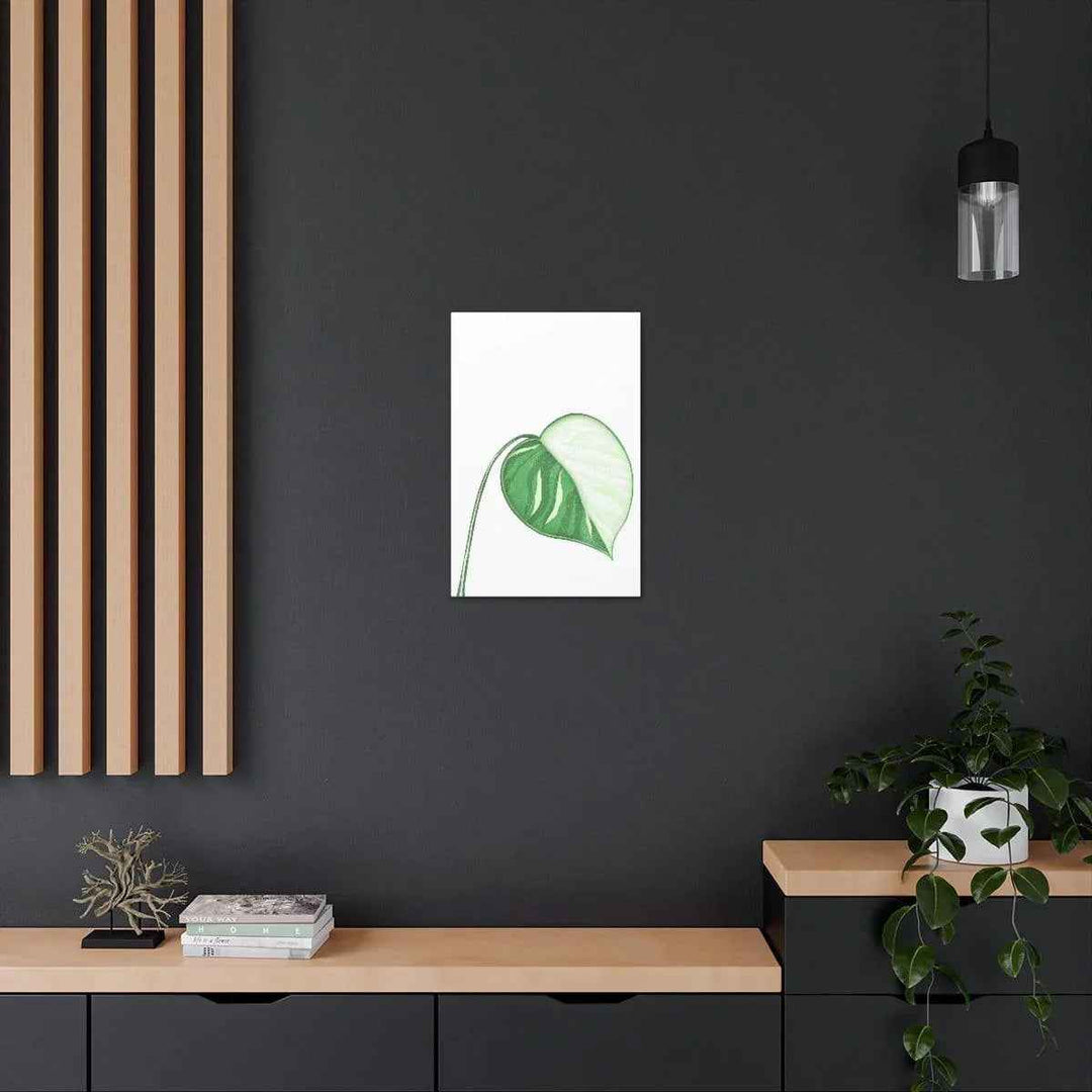 Monstera Albo Canvas | Large Tropical Leaf Artwork - Matte Finish Canvas Art Print