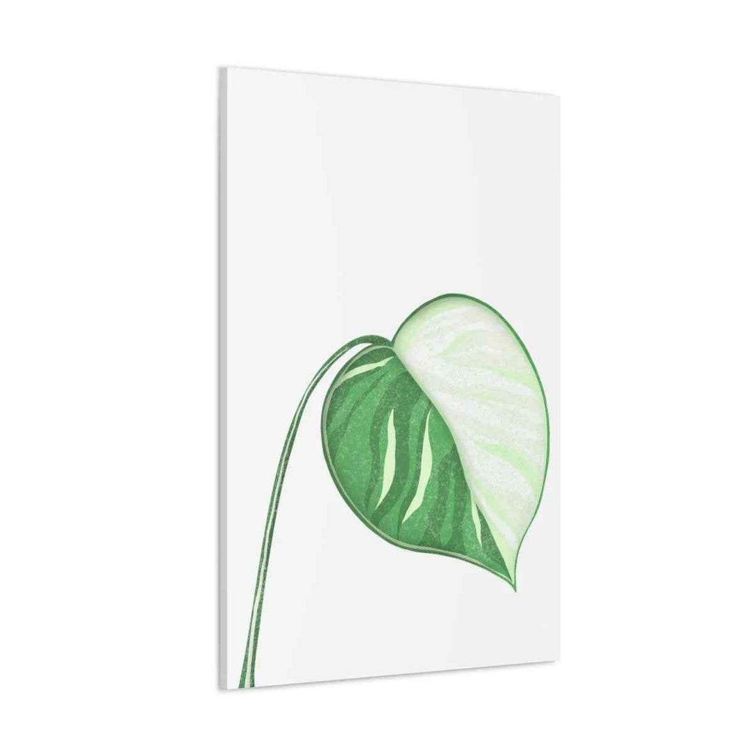 Monstera Albo Canvas | Large Tropical Leaf Artwork - Matte Finish Canvas Art Print