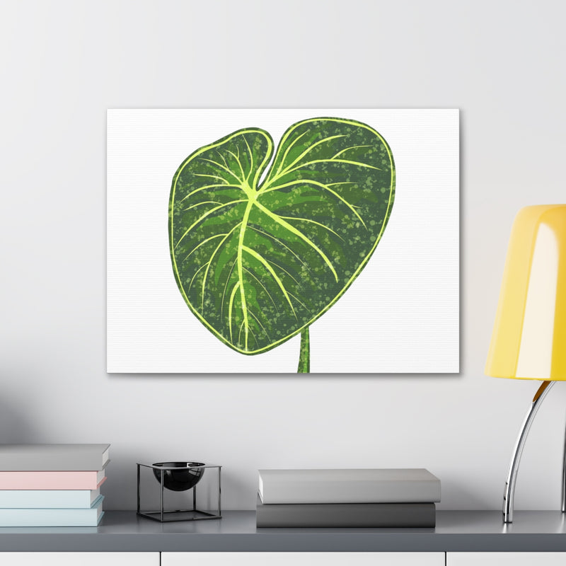 Philodendron Gloriosum Canvas