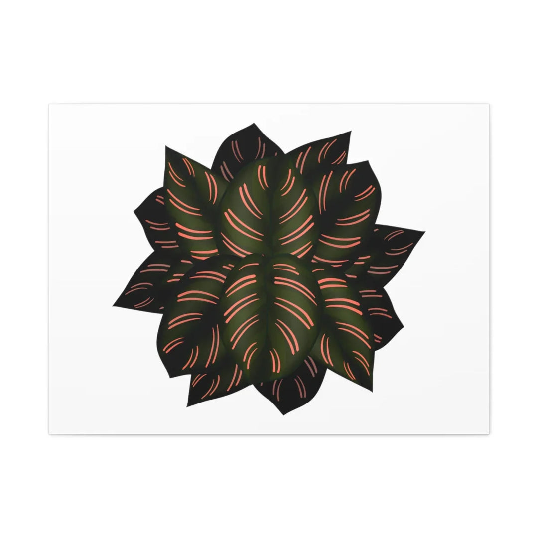 Calathea Pinstripe Canvas – Botanical Canvas Art Print | Matte Finish Wall Decor