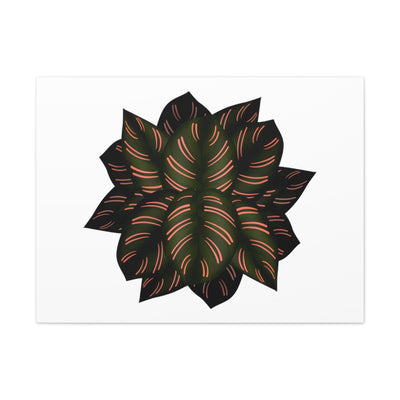 Calathea Pinstripe Canvas