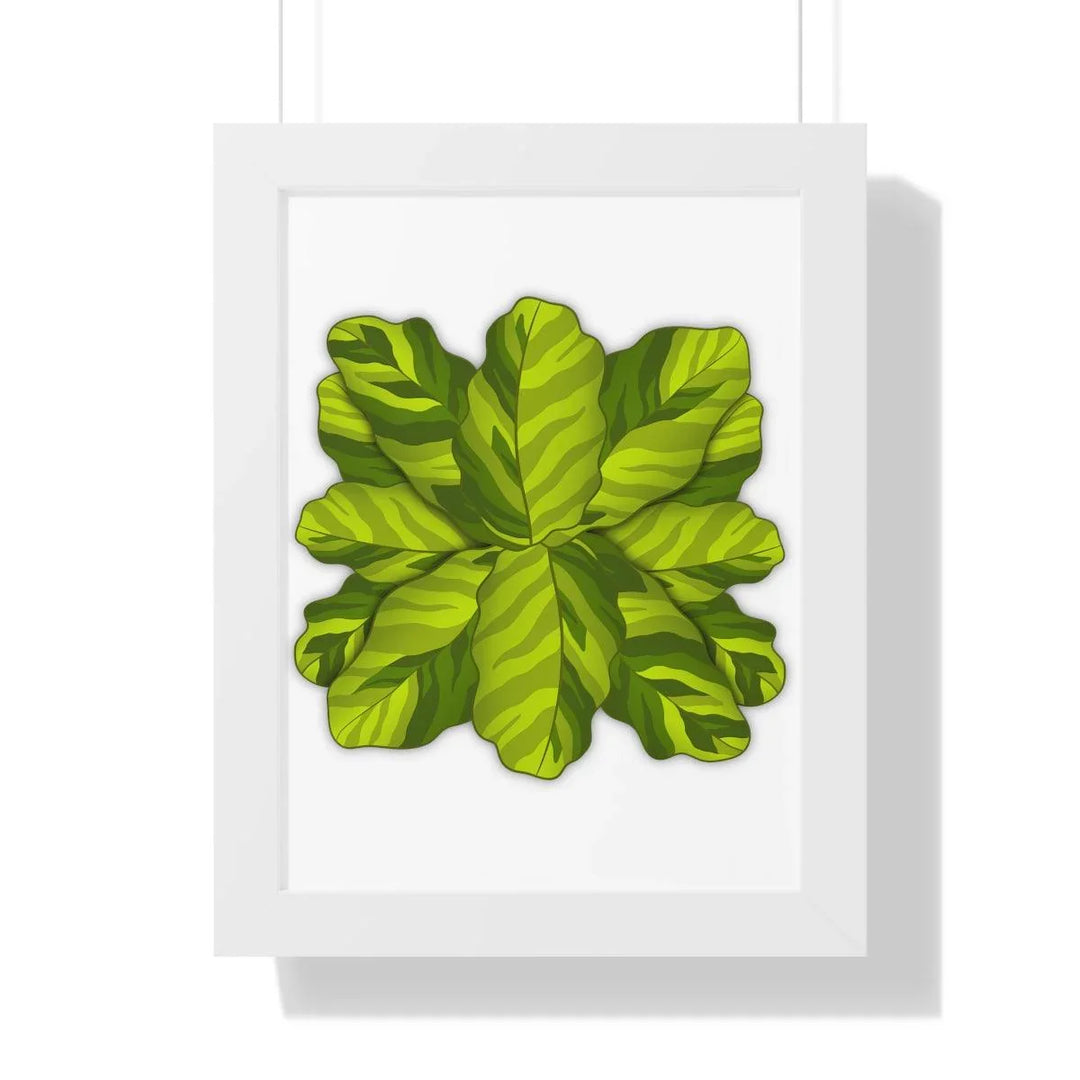 Calathea Yellow Fusion Framed Print, Poster, Laura Christine Photography & Design, Bottle, Calathea, Canvas Bag, Coffee, Drinkware, Framed, Home & Living, Indoor, Paper, Posters, Prayer Plant, Reusable, Shopping Bag, Tea, Tote Bag, Travel, Tumbler, Water, Yellow Fusion, Laura Christine Photography & Design, laurachristinedesign.com