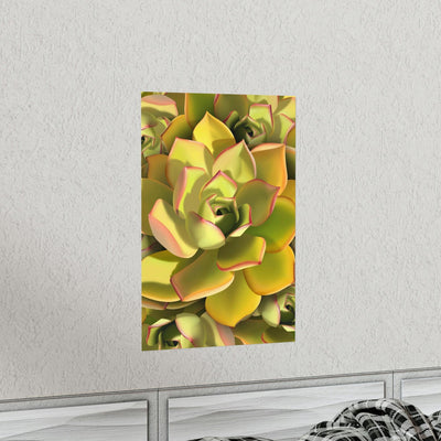 Noble Aeonium Succulent Pattern Print, Poster, Printify, Back to School, Home & Living, Indoor, Matte, Paper, Posters, Valentine's Day promotion, Laura Christine Photography & Design, laurachristinedesign.com