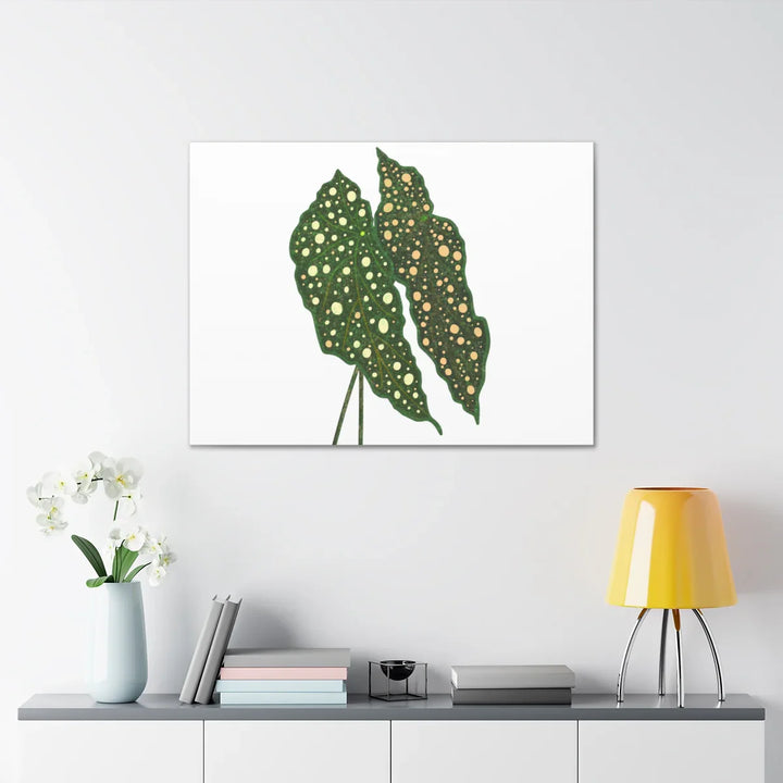 Begonia Maculata Canvas | Premium Canvas Art Print - Matte Finish, Durable Wall Decor - Laura Christine Photography & Design