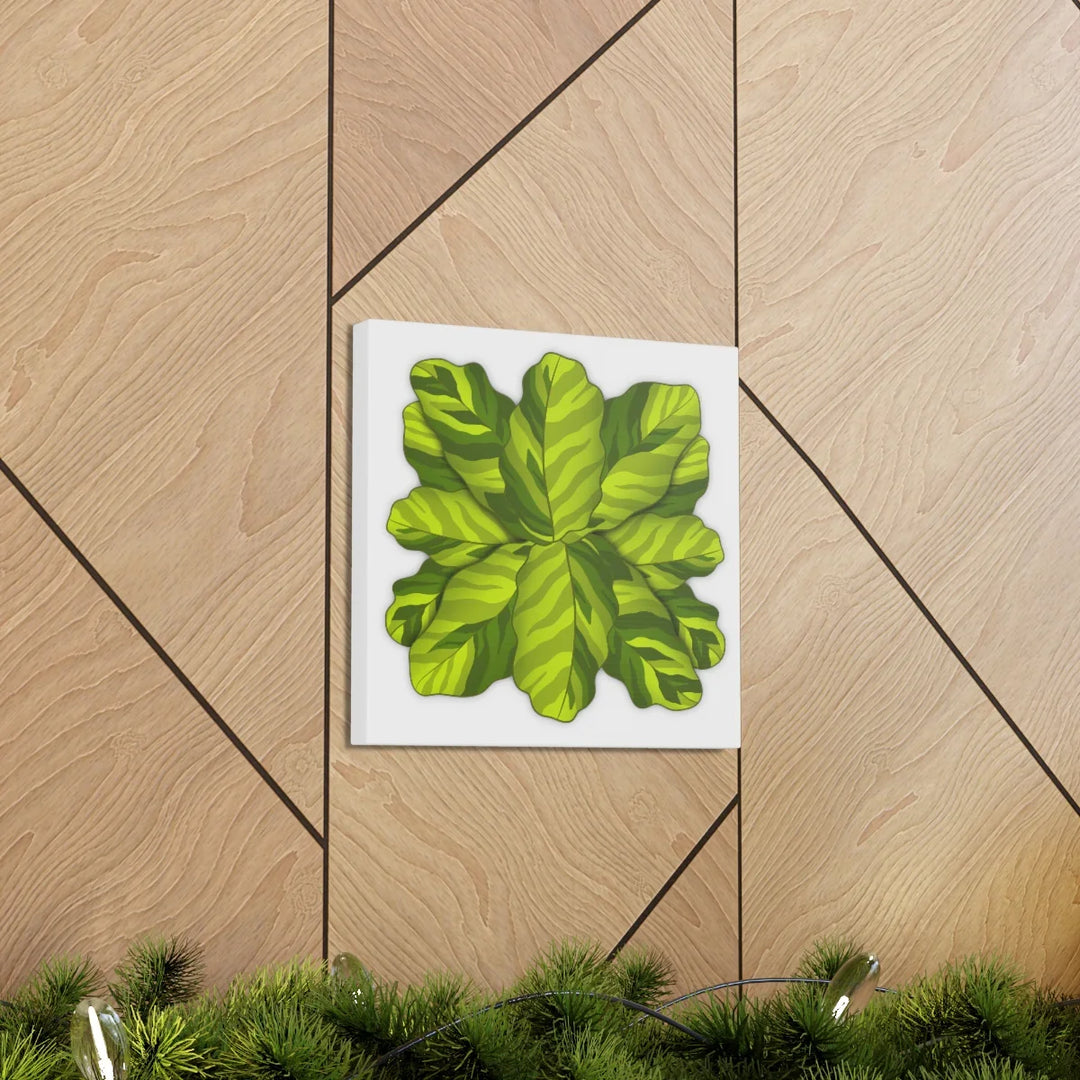 Calathea Yellow Fusion Canvas – Botanical Canvas Print With Unique Leaf Pattern Art - Laura Christine Photography & Design