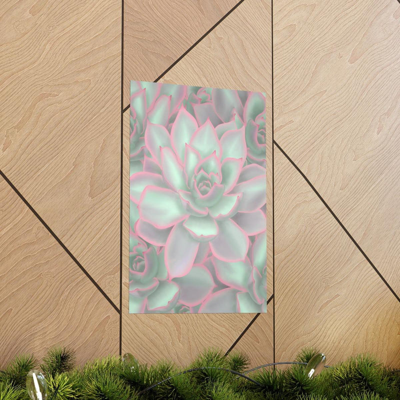 Echeveria Violet Queen Succulent Print, Poster, Laura Christine Photography & Design, Back to School, Home & Living, Indoor, Matte, Paper, Posters, Valentine&