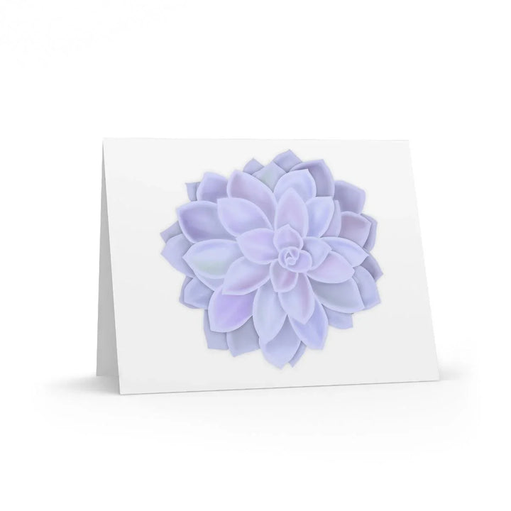 Graptopetalum 'Murasaki'  Succulent Greeting Card, Paper products, Laura Christine Photography & Design, Greeting Card, Holiday Picks, Home & Living, Paper, Postcard, Postcards, Laura Christine Photography & Design, laurachristinedesign.com