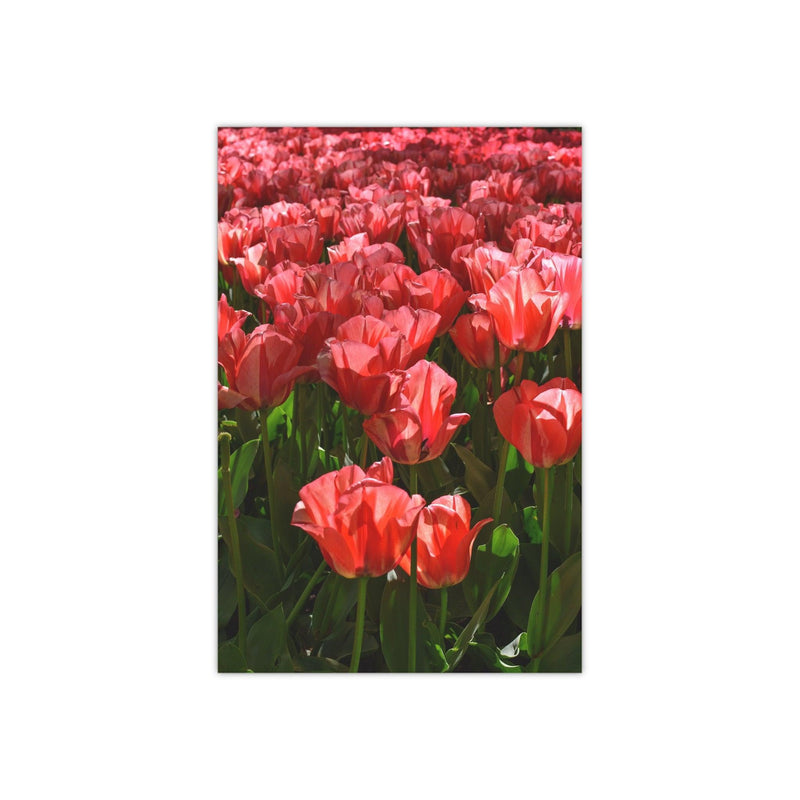 Pink impression tulips - Photo Poster, Poster, Printify, Art & Wall Decor, Home & Living, Paper, Poster, Posters, Laura Christine Photography & Design, laurachristinedesign.com
