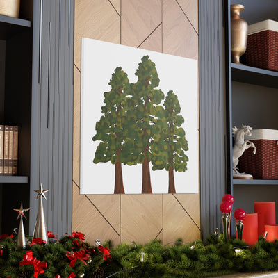 Coastal Redwoods Canvas