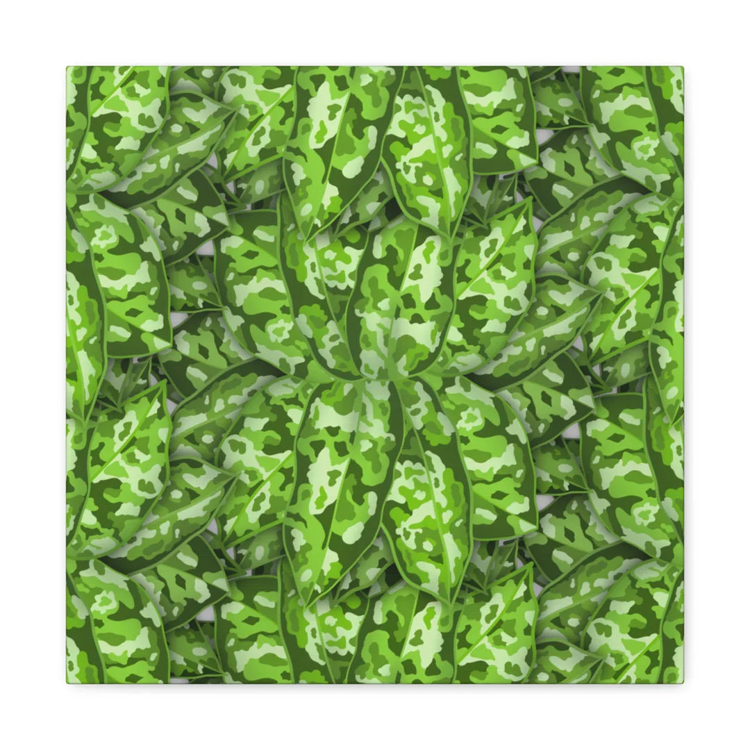 Aglaonema Pictum Canvas - Rare Camouflage Leaf Print Canvas Art Print