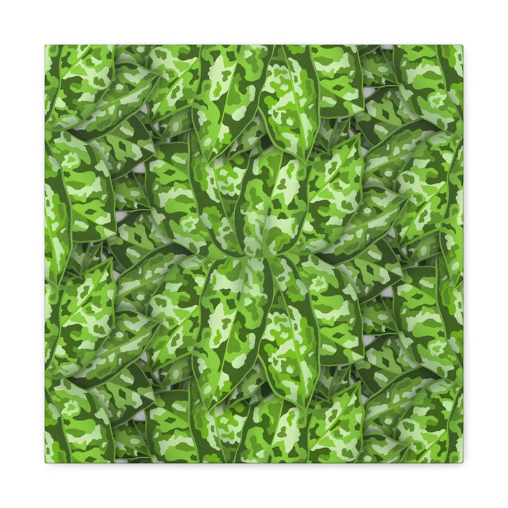 Aglaonema Pictum Canvas - Rare Camouflage Leaf Print Canvas Art Print