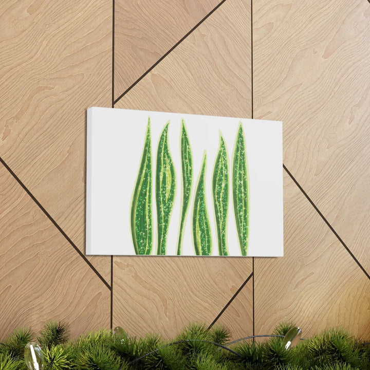 Snake Plant Canvas | Botanical Canvas Decor - Matte Finish Artwork for Living Room - Laura Christine Photography & Design
