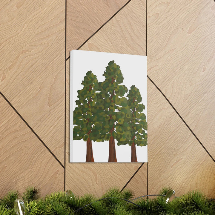 Coastal Redwoods Canvas - Stretched Cotton Canvas Art Print | Matte Finish Wall Hanging Artwork