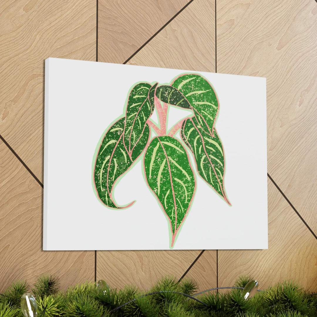 Aglaonema Plant Canvas | Sparkling Plant Artwork - Colorfast Canvas Art Print Decor