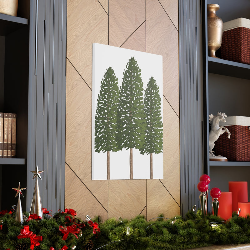 Ponderosa Pine Canvas