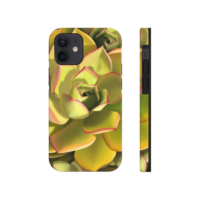 Noble Aeonium Succulent Phone Case, Phone Case, Printify, Accessories, Glossy, iPhone Cases, Matte, Phone accessory, Phone Cases, Samsung Cases, Laura Christine Photography & Design, laurachristinedesign.com