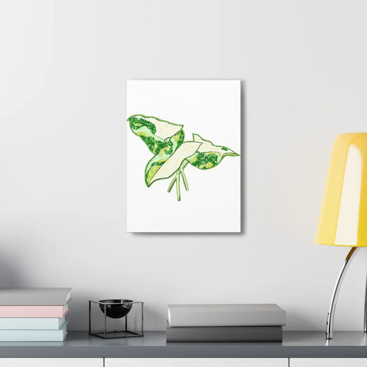 Marble Syngonium Canvas - Botanical Canvas Art Print | Durable Cotton Matte Finish - Laura Christine Photography & Design