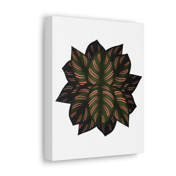 Calathea Pinstripe Canvas – Botanical Canvas Art Print | Matte Finish Wall Decor