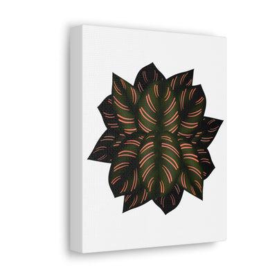 Calathea Pinstripe Canvas