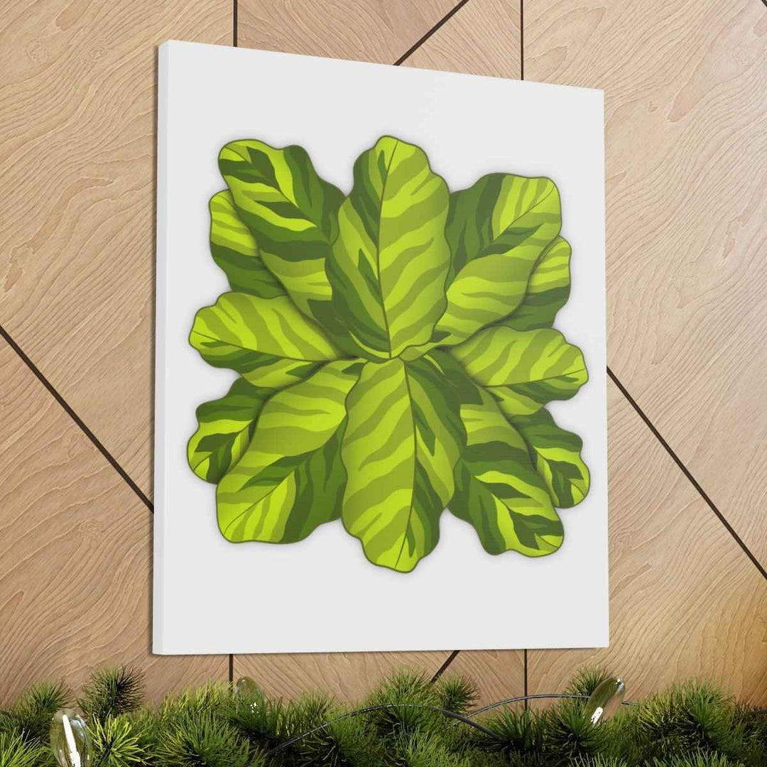 Calathea Yellow Fusion Canvas – Botanical Canvas Print With Unique Leaf Pattern Art