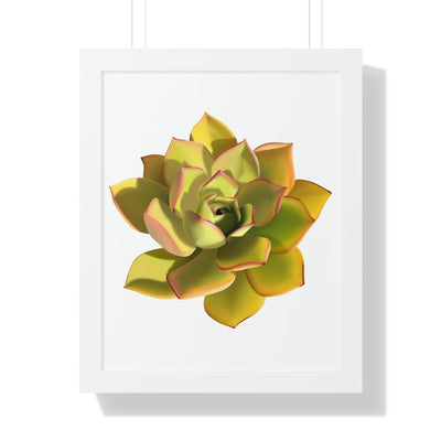Noble Aeonium Succulent Framed Print, Poster, Printify, Framed, Home & Living, Indoor, Paper, Posters, Laura Christine Photography & Design, laurachristinedesign.com