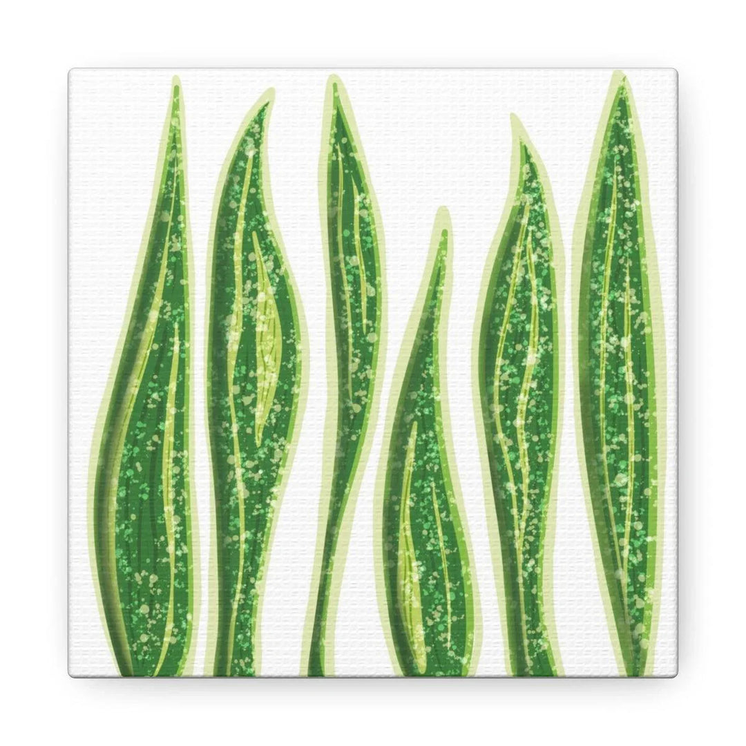 Snake Plant Canvas | Botanical Canvas Decor - Matte Finish Artwork for Living Room - Laura Christine Photography & Design