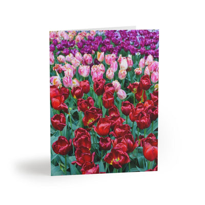 Pink, purple, and red tulips Photo Greeting Card - Vertical, Paper products, Printify, Greeting Card, Holiday Picks, Home & Living, Paper, Postcard, Postcards, Laura Christine Photography & Design, laurachristinedesign.com