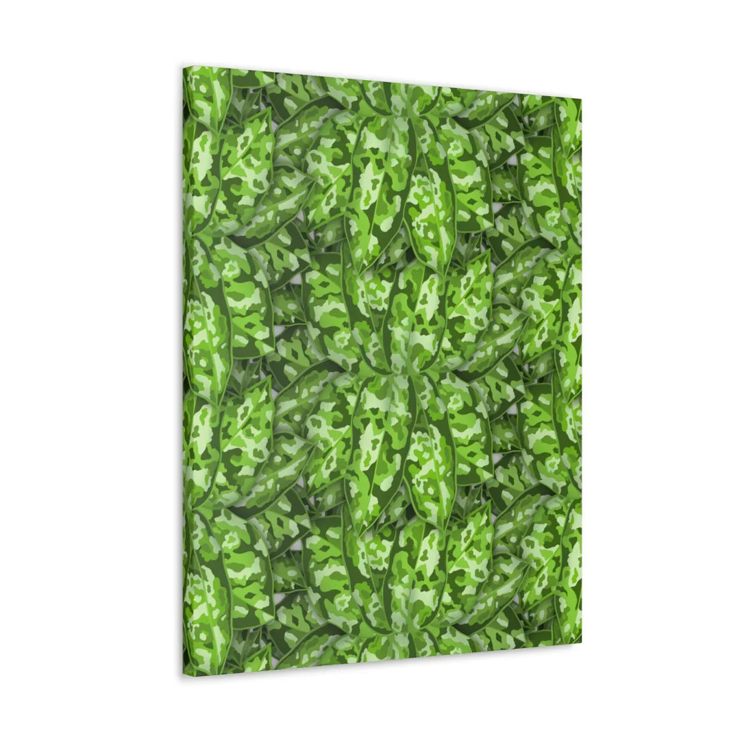 Aglaonema Pictum Canvas - Rare Camouflage Leaf Print Canvas Art Print