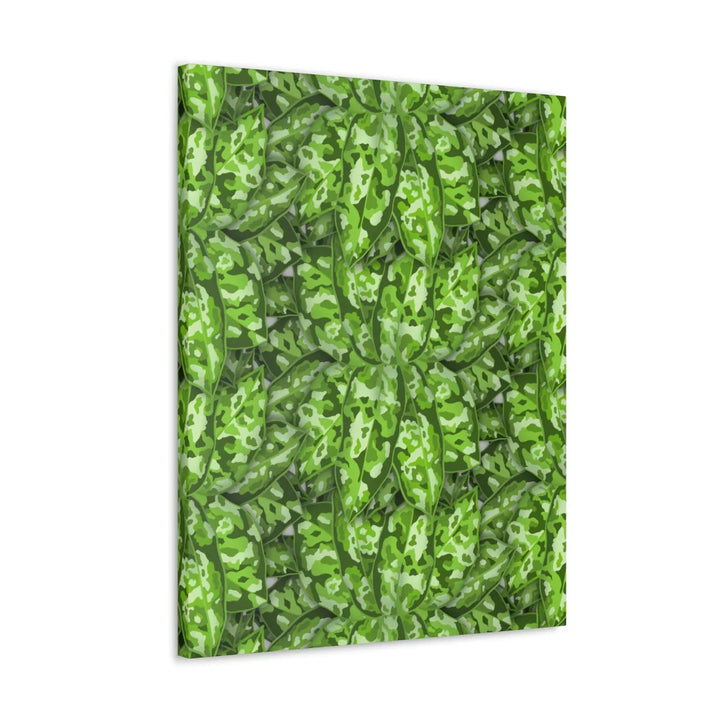 Aglaonema Pictum Canvas - Rare Camouflage Leaf Print Canvas Art Print