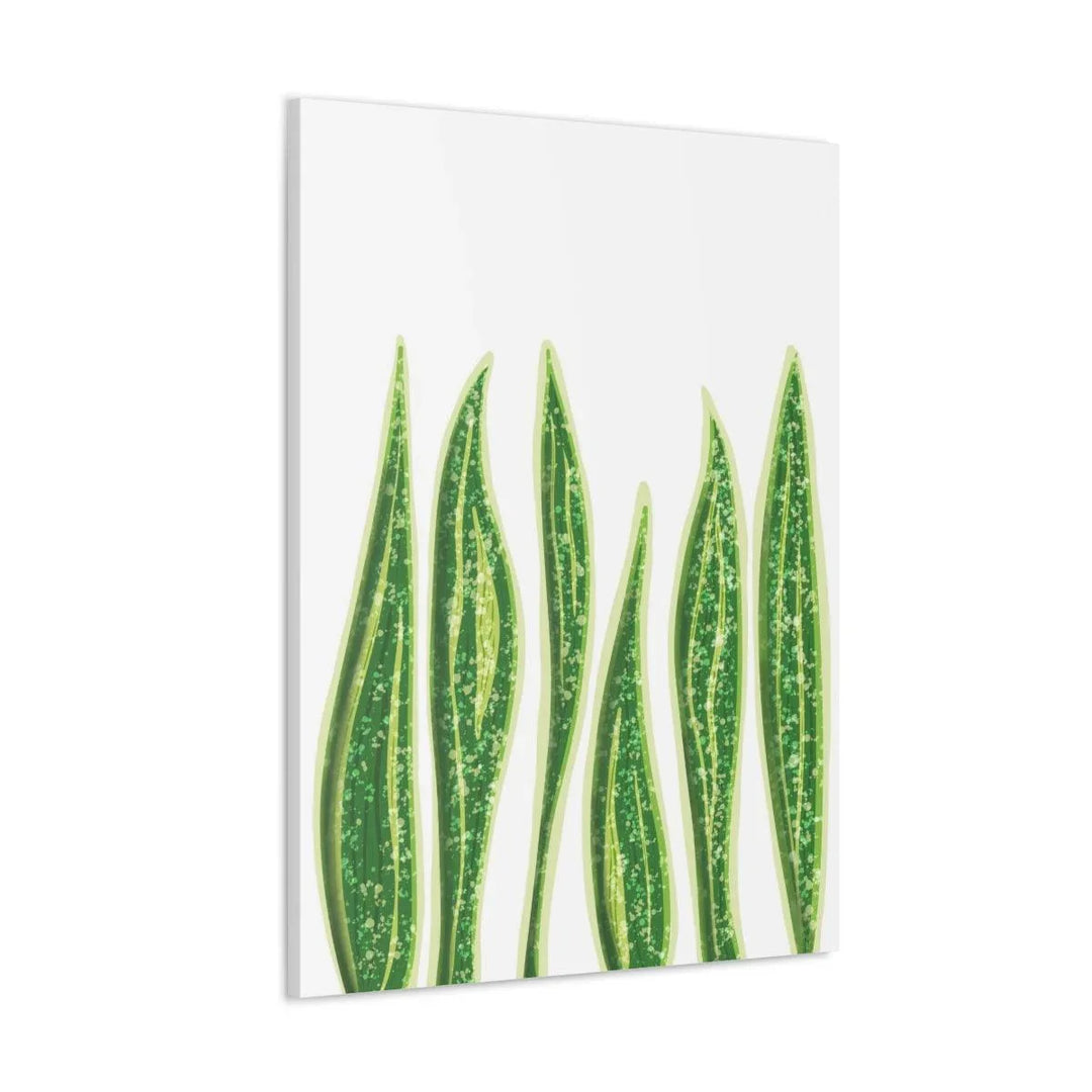Snake Plant Canvas | Botanical Canvas Decor - Matte Finish Artwork for Living Room - Laura Christine Photography & Design