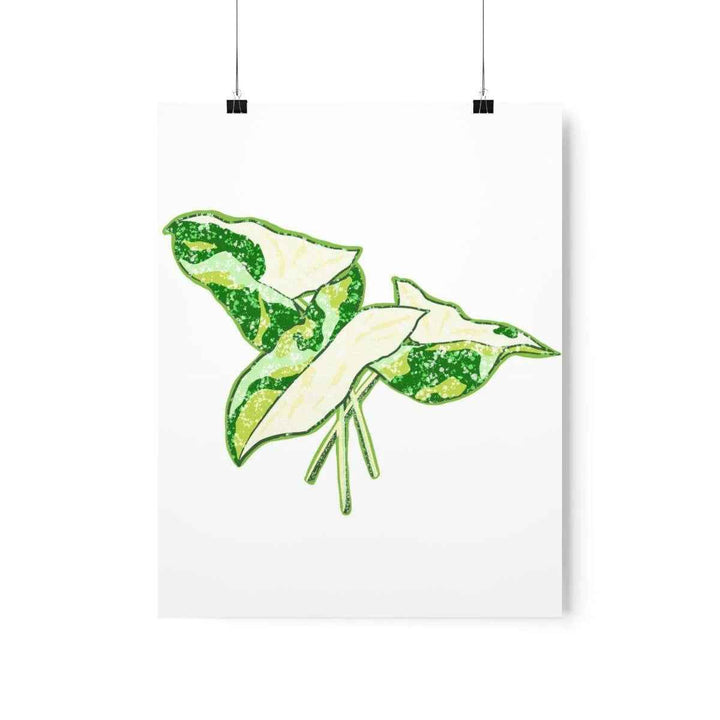 Marble Syngonium Print – Botanical Wall Art on Museum Grade Paper | Matte Finish Unframed