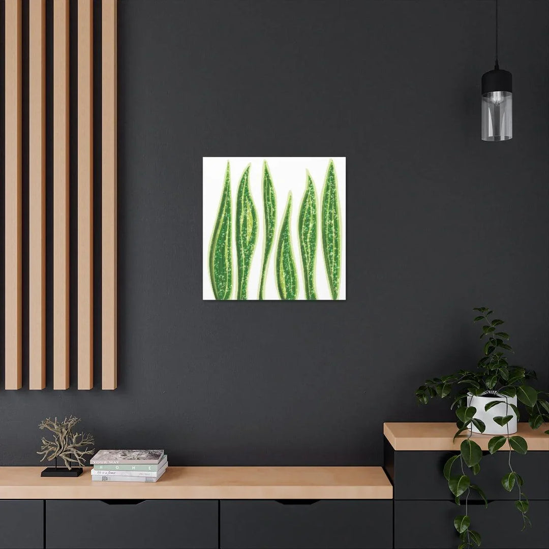 Snake Plant Canvas | Botanical Canvas Decor - Matte Finish Artwork for Living Room - Laura Christine Photography & Design
